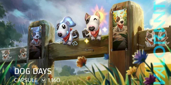 Dog Days Capsule ในร้านค้า VALORANT ราคา 1,160 VP