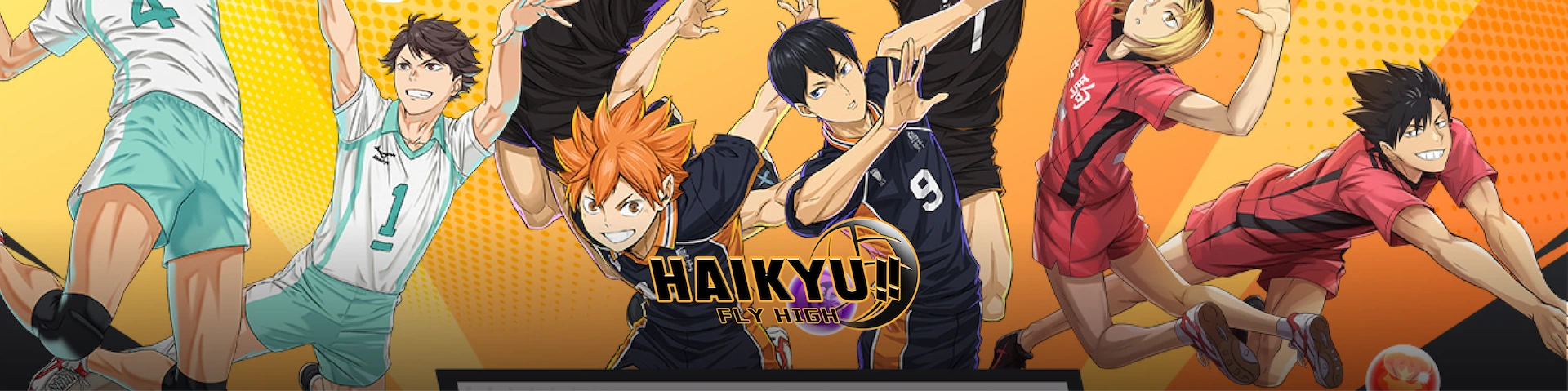 HAIKYU!! FLY HIGH Banner