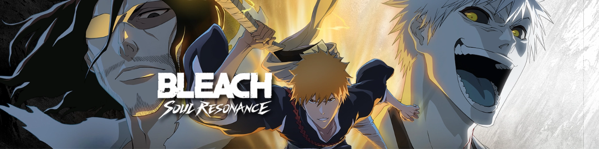 Bleach: Soul Resonance Banner