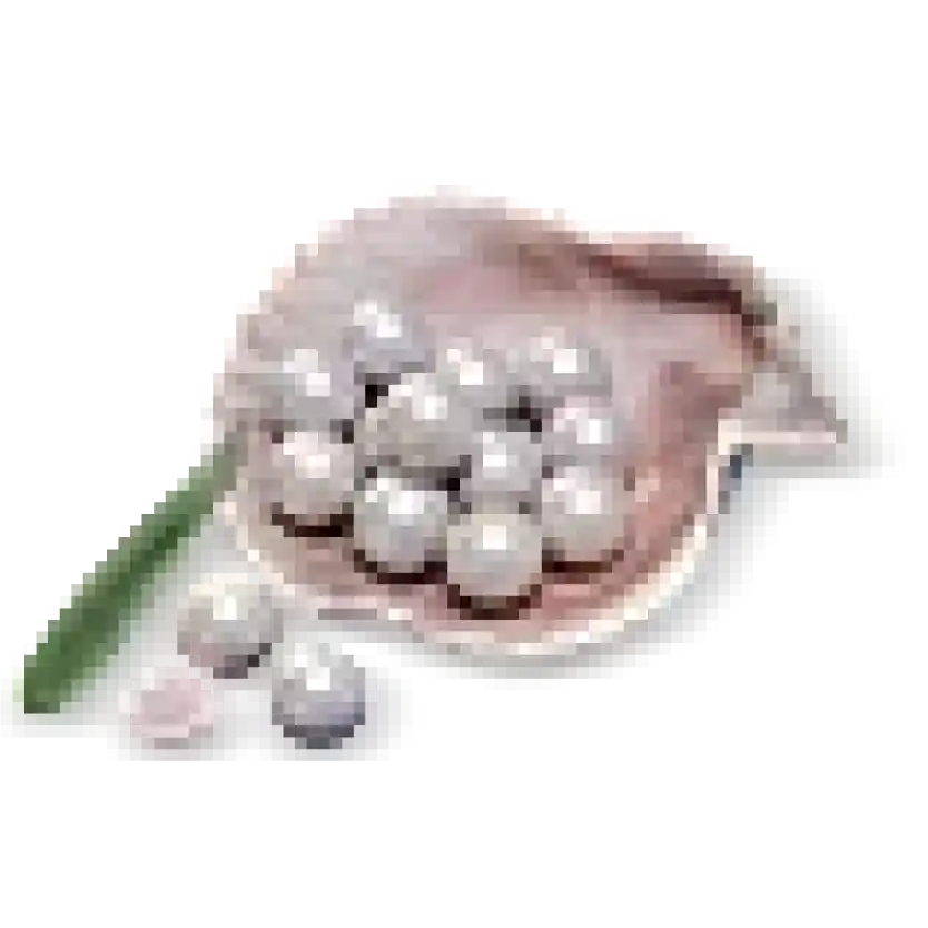 Image Topup